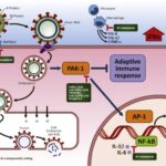 LA SCIENZA SUGGERISCE L’USO DI PROPOLI CONTRO L’INFEZIONE DA SARS- CoV -2 e COVID-19.